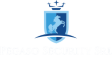Pegaso Security